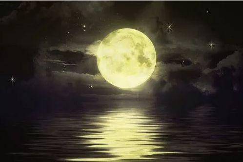 娱乐吃瓜酱月亮是我杀的,揭秘“月亮是我杀的”背后的惊人真相